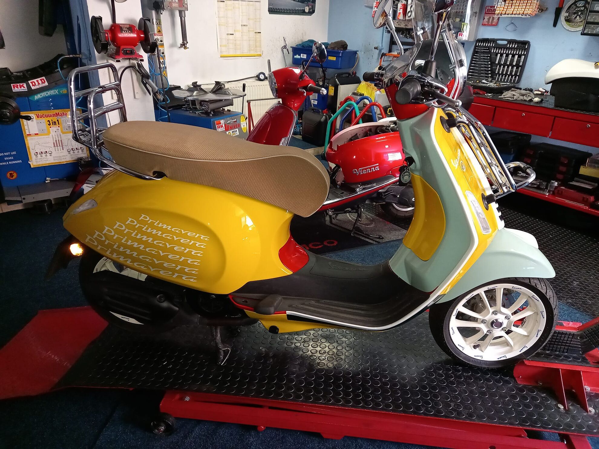 348234545_177207114974284_5419813280597331148_n